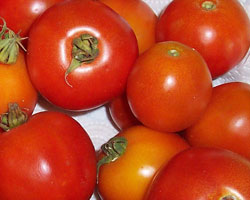 Pečene rajčice