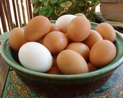 Pečena jaja u bijelom umaku